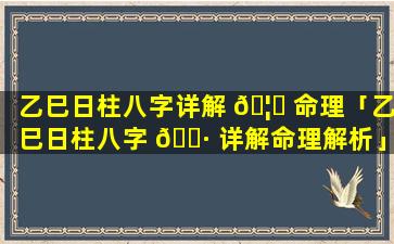 乙巳日柱八字详解 🦈 命理「乙巳日柱八字 🕷 详解命理解析」